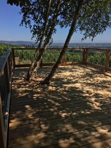 Wooden deck with two mature birch trees, metal railing, dappled sunlight, overlooking forested valley and distant urban
