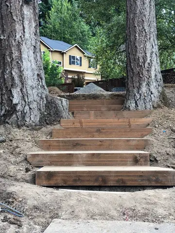 Four wooden steps ascending between two large tree trunks toward a yellow house with blue trim visible in background.
